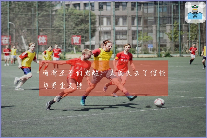 海湾王子们觉醒：美国失去了信任与资金支持