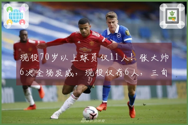 现役70岁以上球员仅11人！张大帅6次全场发威，现役仅存6人，三旬老将仅剩一位